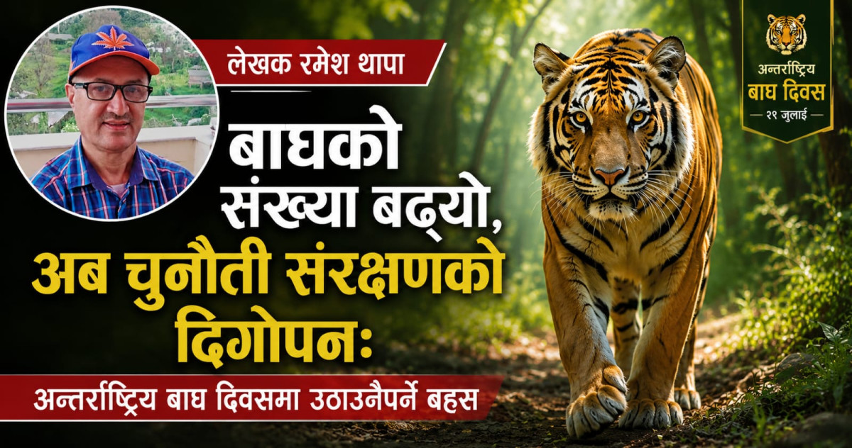 बाघको संख्या बढ्यो, अब चुनौती संरक्षणको दिगोपनः अन्तर्राष्ट्रिय बाघ दिवसमा उठाउनैपर्ने बहस